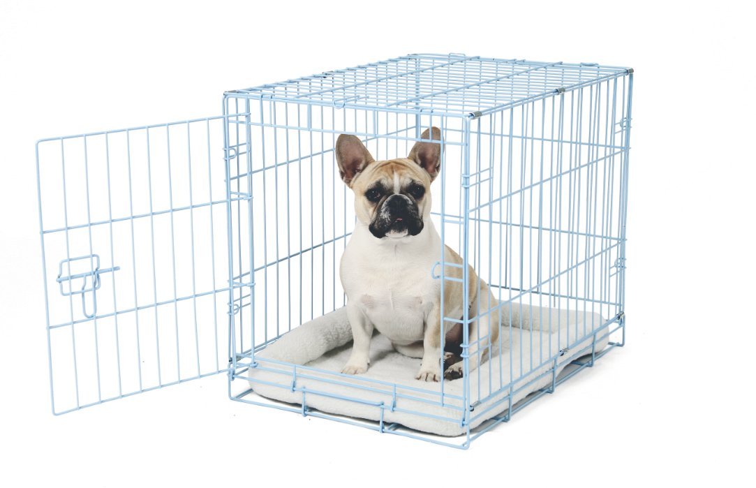 Carlson Pet Deluxe Pet Crate