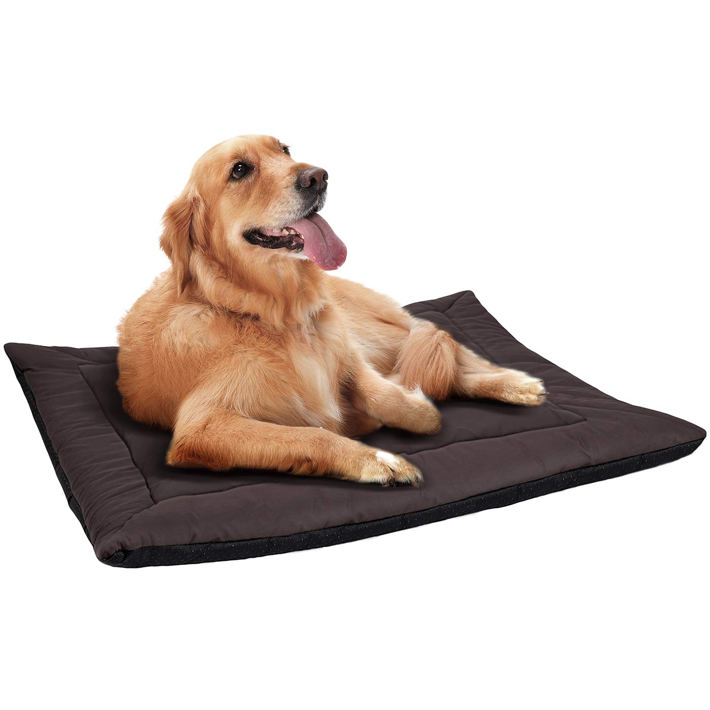 Paws & Pals Self-Warming Pet Pad