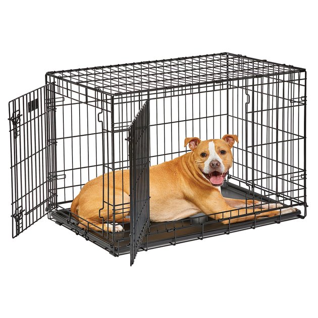 MidWest LifeStages Double Door Collapsible Wire Dog Crate