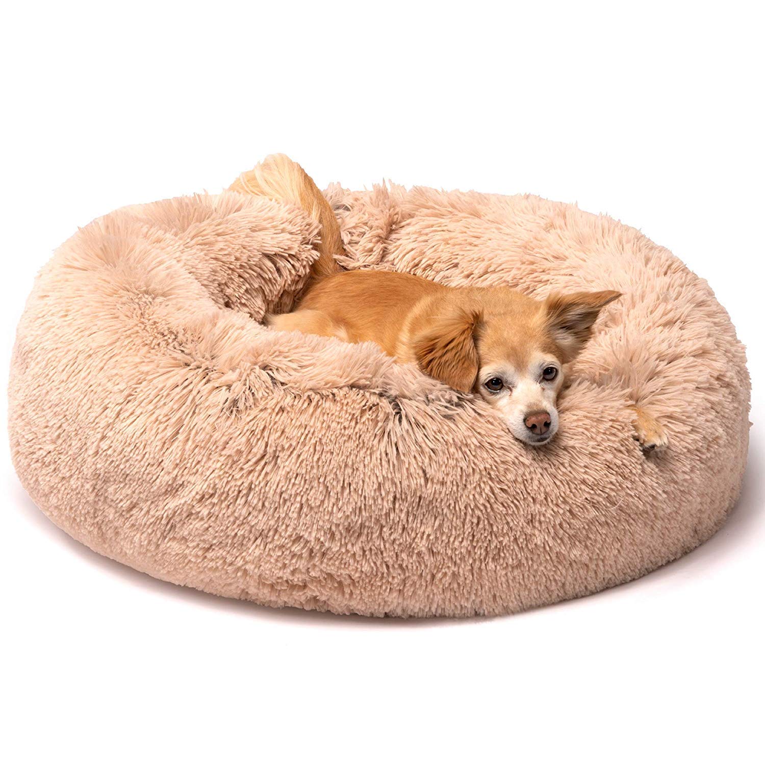 Friends Forever Self-Warming Indoor Donut Bed