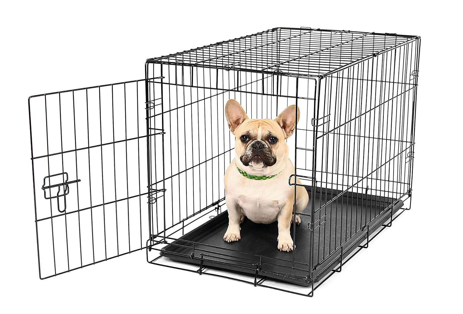 Carlson Pet Products SECURE AND FOLDABLE Single Door Metal Dog Crate