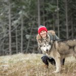 Alaskan Malamute (12)