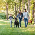 Black German Shepherd with family in the park