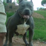 blue-pit_15