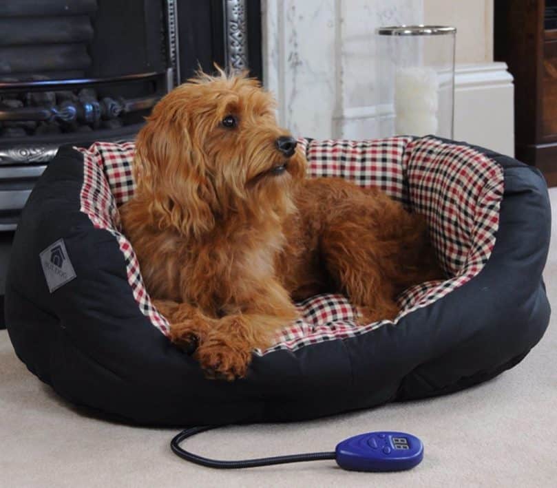 A shaggy dog relaxing while staying warm on a heated dog bed