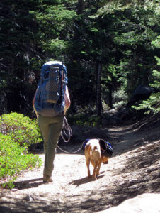 Hiking with dog