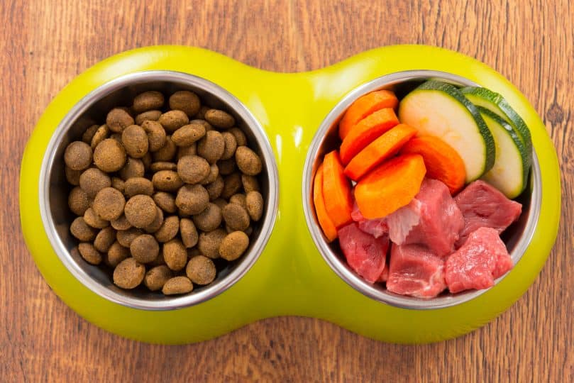 Natural food in a bowl as opposite of dry dog food