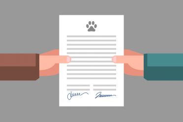 Document in hands. Signed pet adoption or sale agreement