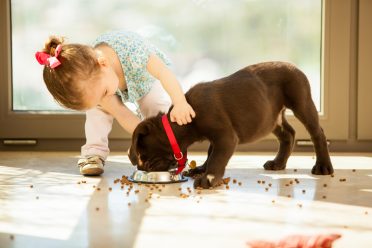 photo of a little girl feeding a puppy