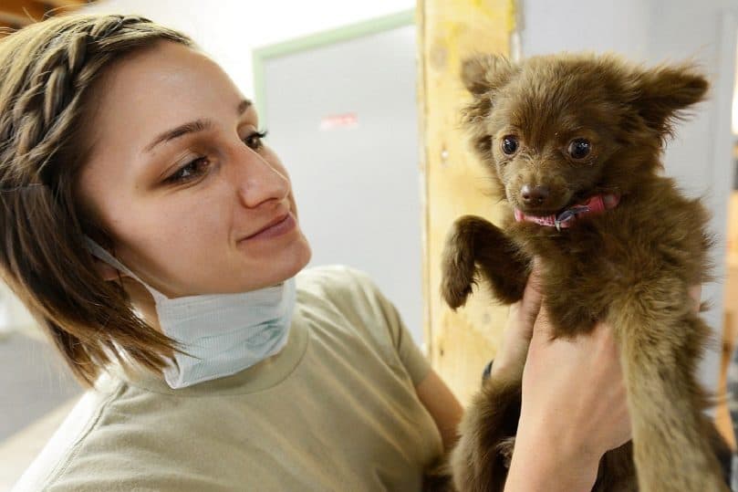 a smiling veterinarian holding a brown puppy