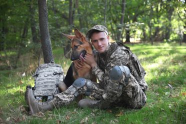 veteran german shepherd service dog