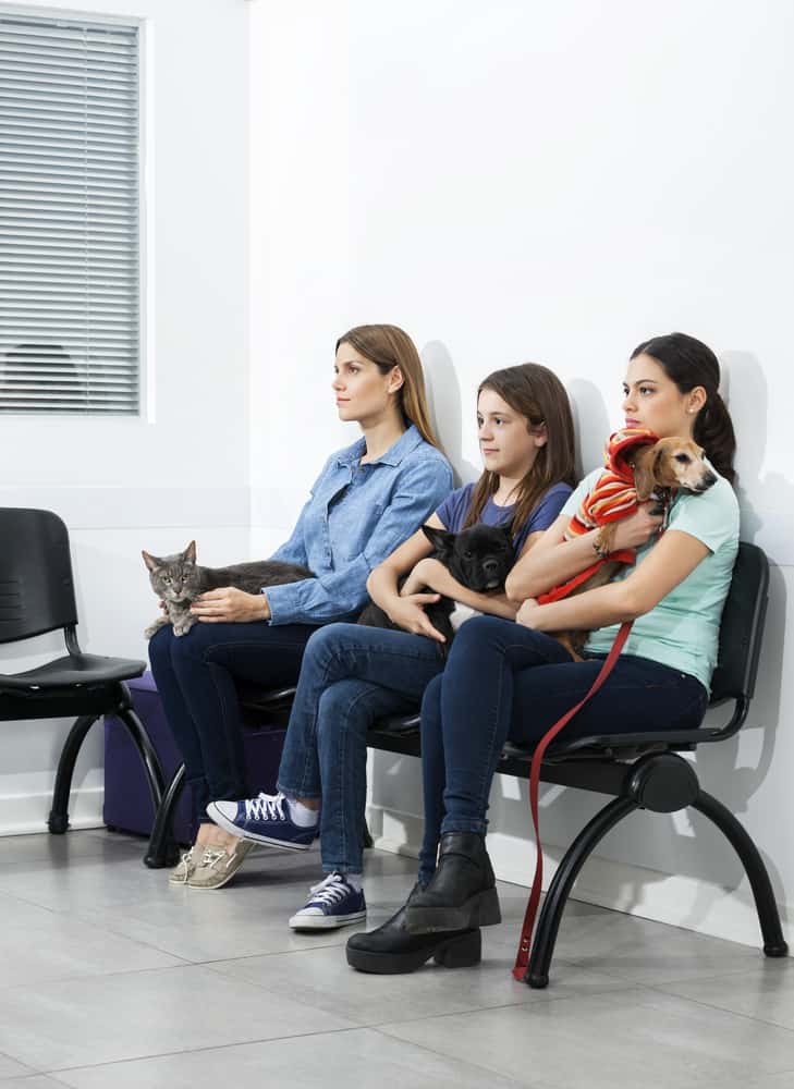 clients waiting at a veterinary clinic